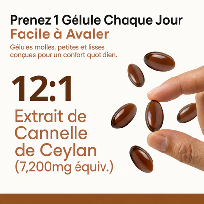 Cannelle de Ceylan, équivalent 7200mg, avec huile MCT